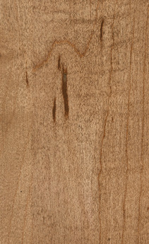 Wellborn Cabinet Sample Chip in Character Maple and Maple with River Rock finish.