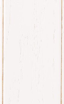 Wellborn Cabinet Sample Chip in Oak with Bright White Java finish.