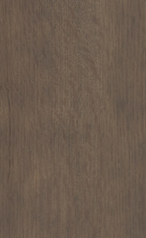 Wellborn Cabinet Sample Chip in Oak with Drift finish.