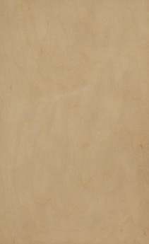 Wellborn Cabinet Sample Chip in Maple and Character Maple with Light finish.