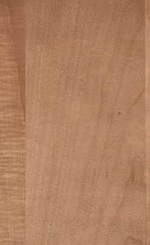 Wellborn Cabinet Sample Chip in Maple and Character Maple with Medium finish.