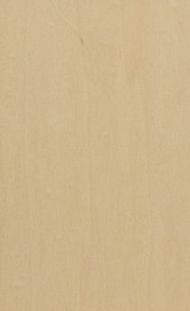 Wellborn Cabinet Sample Chip in Maple and Character Maple with Natural finish.