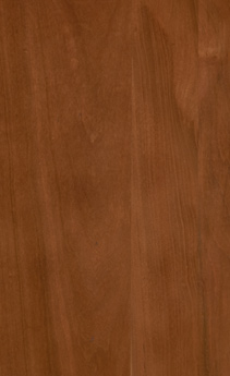 Wellborn Cabinet Sample Chip in Cherry and Character Cherry with Light finish.