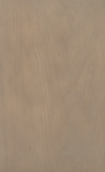 Wellborn Cabinet Sample Chip in Maple and Character Maple with Oatmeal finish.