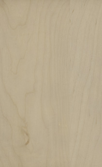 Wellborn Cabinet Sample Chip in Maple and Character Maple with Shale finish.