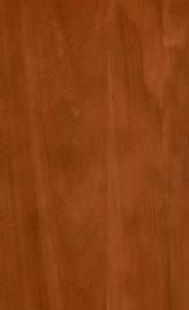 Wellborn Cabinet Sample Chip in Cherry and Character Cherry with Light finish.