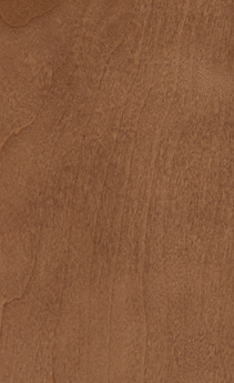 Wellborn Cabinet Sample Chip in Maple and Character Maple with Caramel finish.