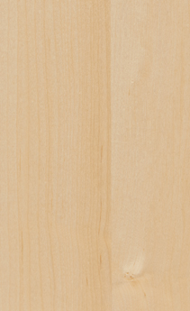 Wellborn Cabinet Sample Chip in Character Maple and Maple with Natural finish.