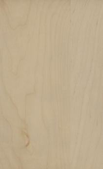 Wellborn Cabinet Sample Chip in Maple and Character Maple with Shale finish.