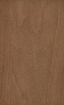 Wellborn Cabinet Sample Chip in Cherry and Character Cherry with Medium finish.