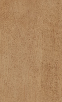 Wellborn Cabinet Sample Chip in Maple and Character Maple with Ginger finish.