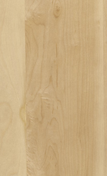 Wellborn Cabinet Sample Chip in Maple and Character Maple with Light finish.