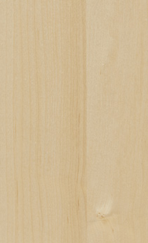 Wellborn Cabinet Sample Chip in Maple and Character Maple with Natural finish.