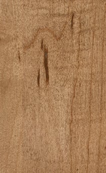 Wellborn Cabinet Sample Chip in Character Maple and Maple with River Rock finish.