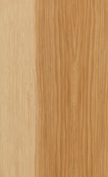 Wellborn Cabinet Sample Chip in Hickory with Natural finish.