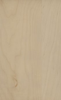 Wellborn Cabinet Sample Chip in Maple and Character Maple with Shale finish.