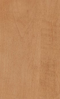 Wellborn Cabinet Sample Chip in Maple and Character Maple with Ginger finish.