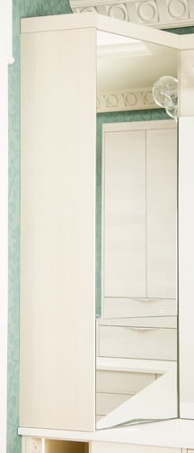 Vista is Decorative Laminate Veneer Door and Metal Door door group with a  metal cabinet door from Wellborn Cabinet.