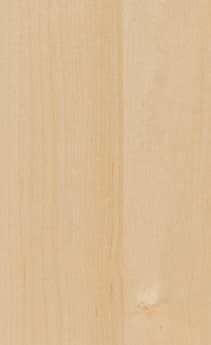 Wellborn Cabinet Sample Chip in Character Maple and Maple with Natural finish.