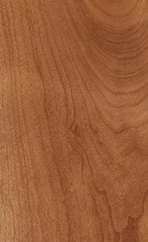 Wellborn Cabinet Sample Chip in Cherry and Character Cherry with Ginger finish.