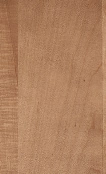 Wellborn Cabinet Sample Chip in Maple and Character Maple with Medium finish.