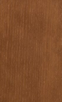 Wellborn Cabinet Sample Chip in Oak with Caramel finish.