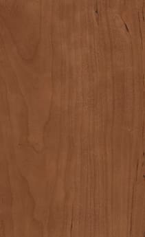 Wellborn Cabinet Sample Chip in Cherry and Character Cherry with Medium finish.