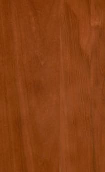 Wellborn Cabinet Sample Chip in Cherry and Character Cherry with Light finish.