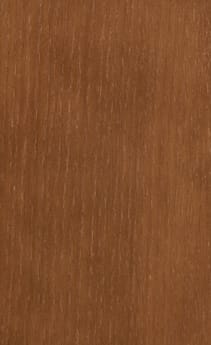 Wellborn Cabinet Sample Chip in Oak with Caramel finish.