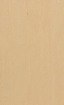 Wellborn Cabinet Sample Chip in Maple and Character Maple with Natural finish.