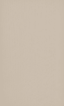 Wellborn Cabinet Sample Chip in Medium Density Fiberboard with Pebble finish.