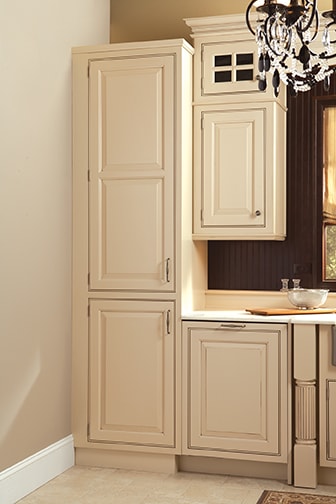 Davenport Square Inset is a Raised and Square cabinet door from Wellborn Cabinet.