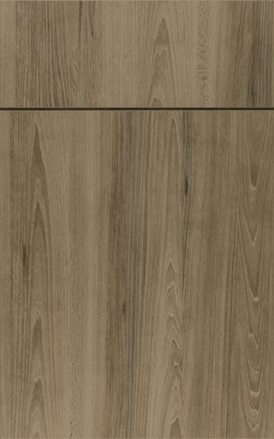 Arcadia is Decorative Laminate Veneer Door door group with a Slab cabinet door from Wellborn Cabinet.