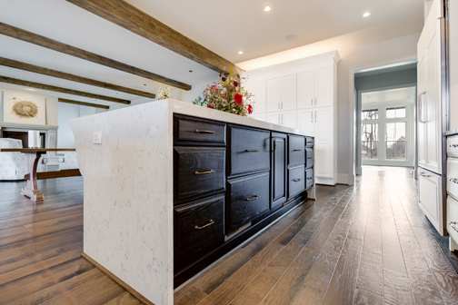 These Light, White, Dark, and Black cabinets for the 2019, 2018, and 2017 Design Contest and Residential Home home were provided by Wellborn Cabinet, Inc.