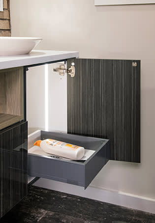 These Black and Dark cabinets for the 2018 Modern Home, Show Village, Hafele, and Exhibit Booth home were provided by Wellborn Cabinet, Inc.
