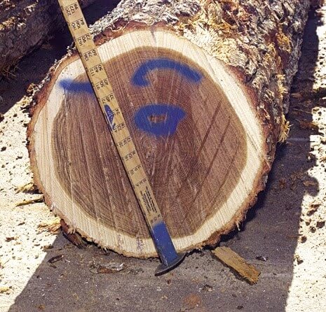 made in the usa quality tree 