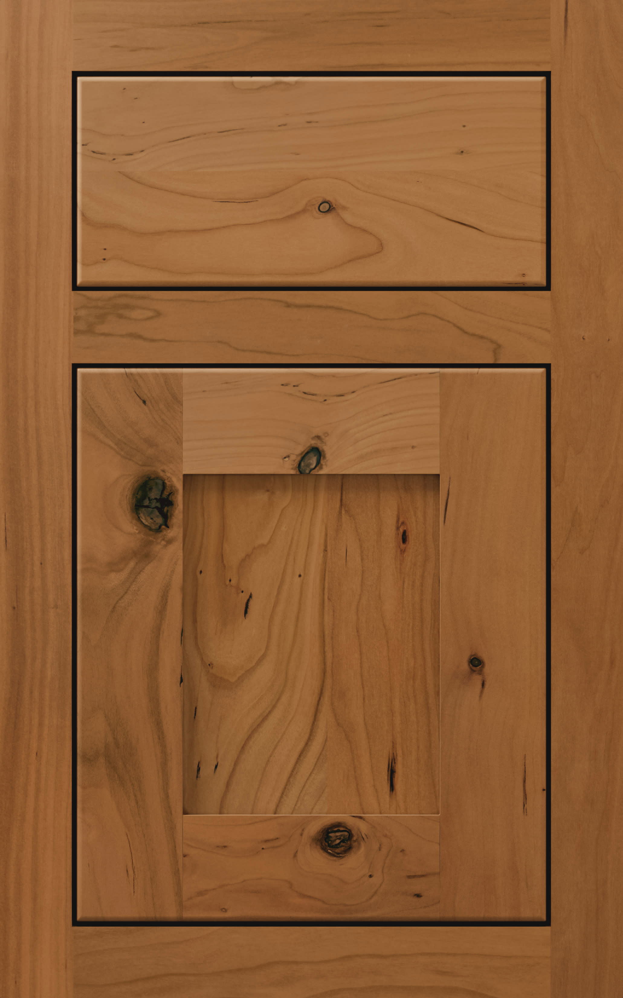 Hanover Inset is a Square and Recessed cabinet door from Wellborn Cabinet.