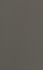 Mink Gray