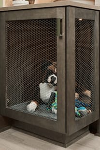 P146 YDI Pet Center