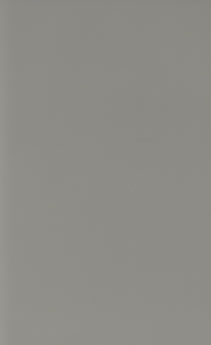The Willow cabinet finish from Wellborn Cabinet, Inc.
