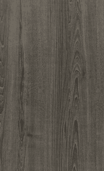 EBM Cinder Alder 72S