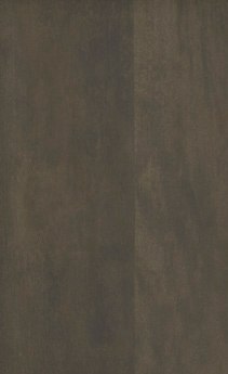 Wellborn Cabinet Sample Chip in Maple and Character Maple with Gauntlet finish.