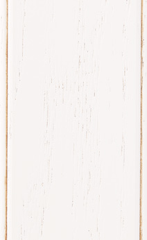 Wellborn Cabinet Sample Chip in Oak with Bright White Java finish.
