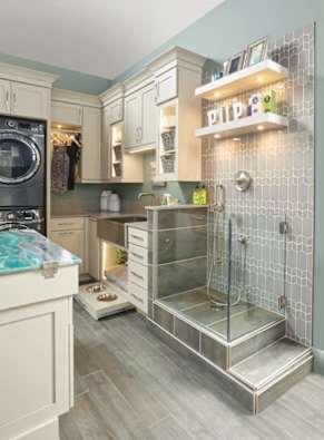 pet suite with organization