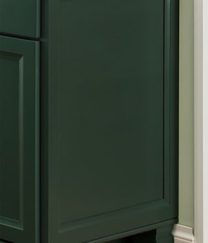 These ColorInspire cabinets for the 2020 Exhibit Booth home were provided by Wellborn Cabinet, Inc.