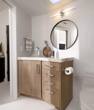 Contemporary Wood Vanity Bathroom