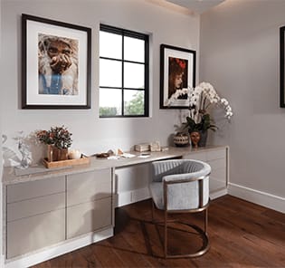 P398 The New American Homes Icon