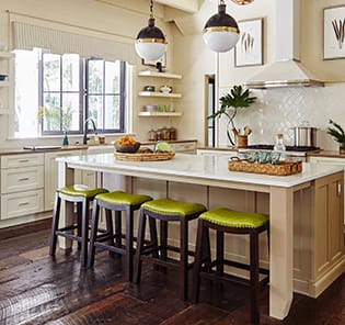 P396 Southern Living Idea House Icon
