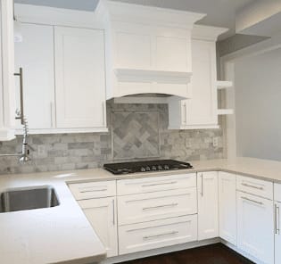 P391 Model Remodel Icon