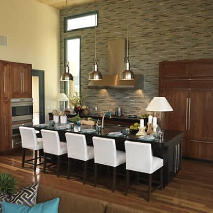 P405 2010 HGTV Dream Home Icon